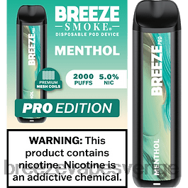 Breeze Vape Flavors - Breeze Pro 2000 bloss H68L021 mentol