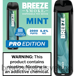 Breeze Vape Wholesale - Breeze Pro 2000 bloss H68L020 mynta