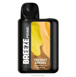 Breeze Vape Flavors - Breeze Prime 6000 bloss H68L01 kokos banan