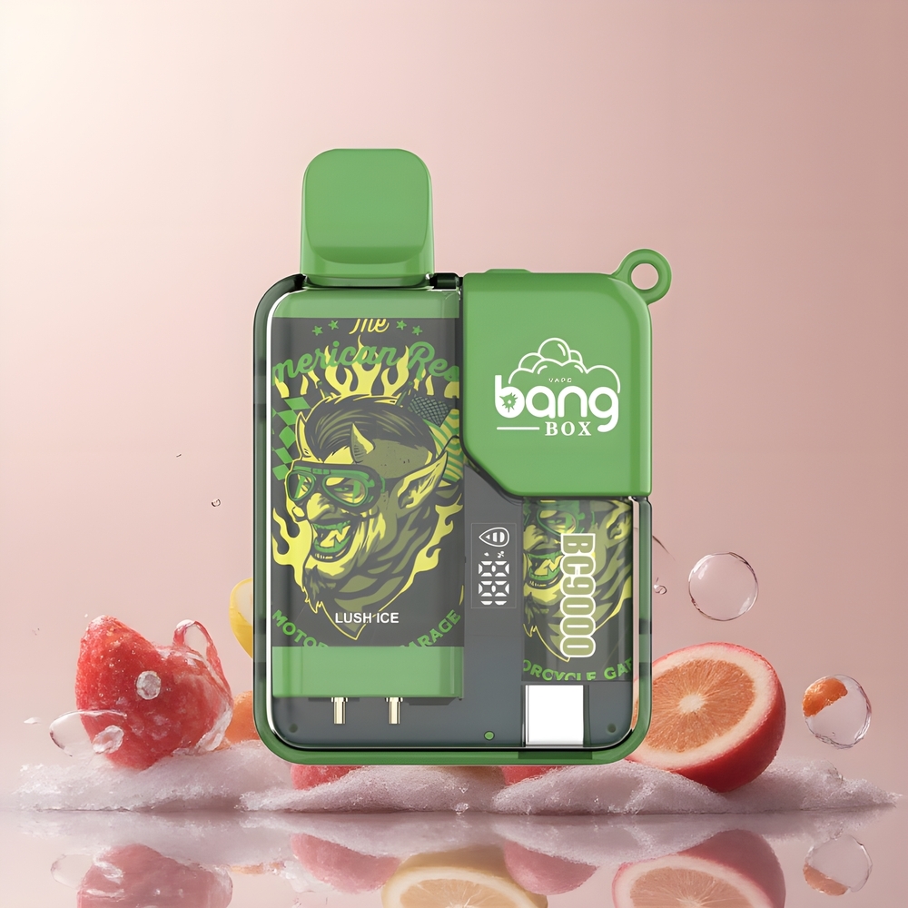 Partihandel Sverige Bang Box 9000 Puffs 14ml 650mAh Typ-C Lus Is
