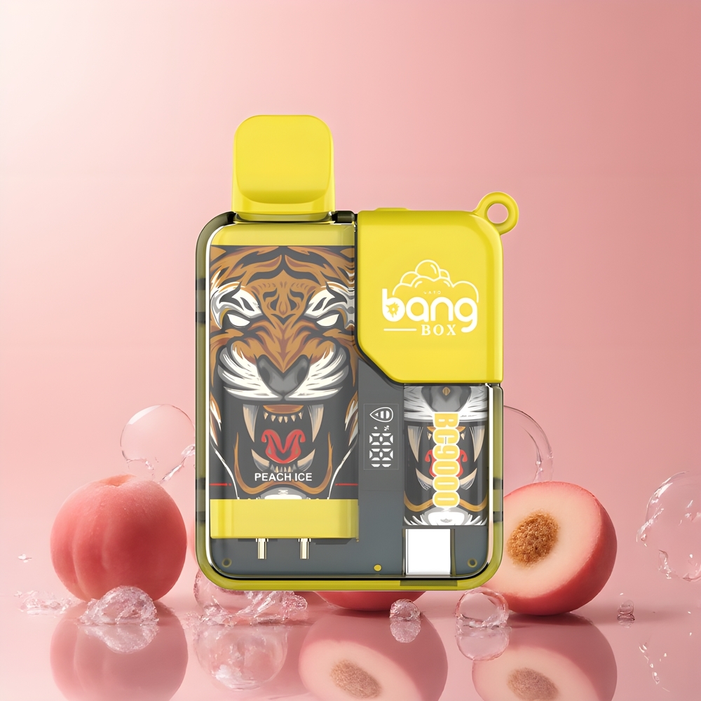 Partihandel Sverige Bang Box 9000 Puffs Persika Is 14ml 650mAh Type-C