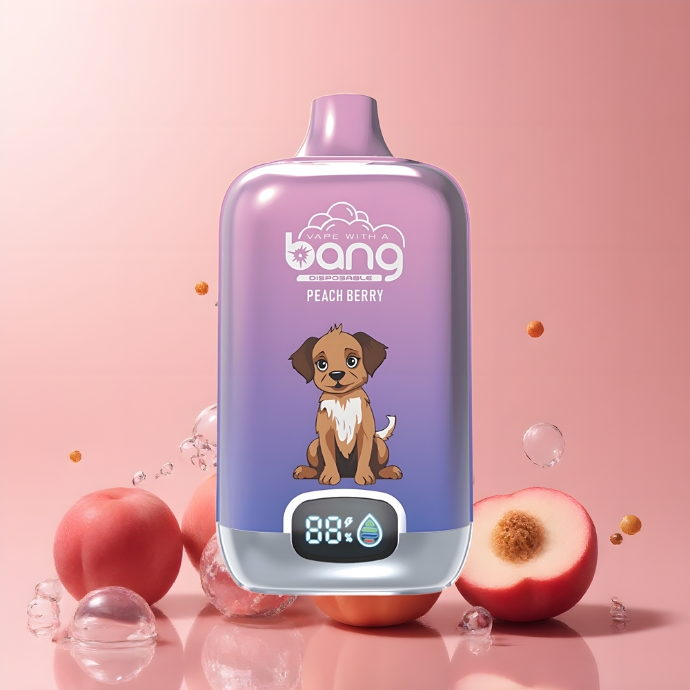 Partihandel Sverige Bang Digital Box 15000 Puffs Typ-C Laddning Persika Bär