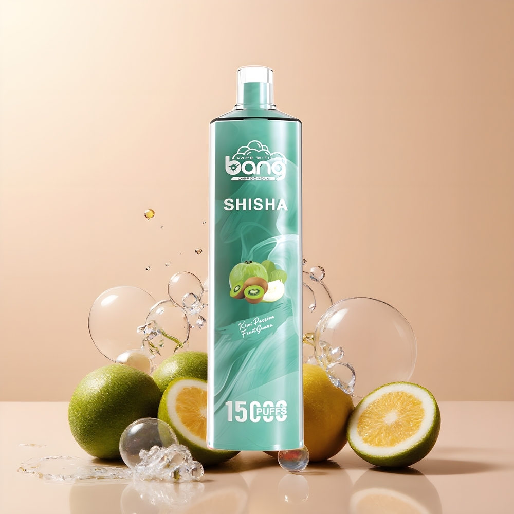 Partihandel Sverige Bang Shisha 15000 Puffs DTL Typ-C Laddning Kiwi Passionsfrukt Guava