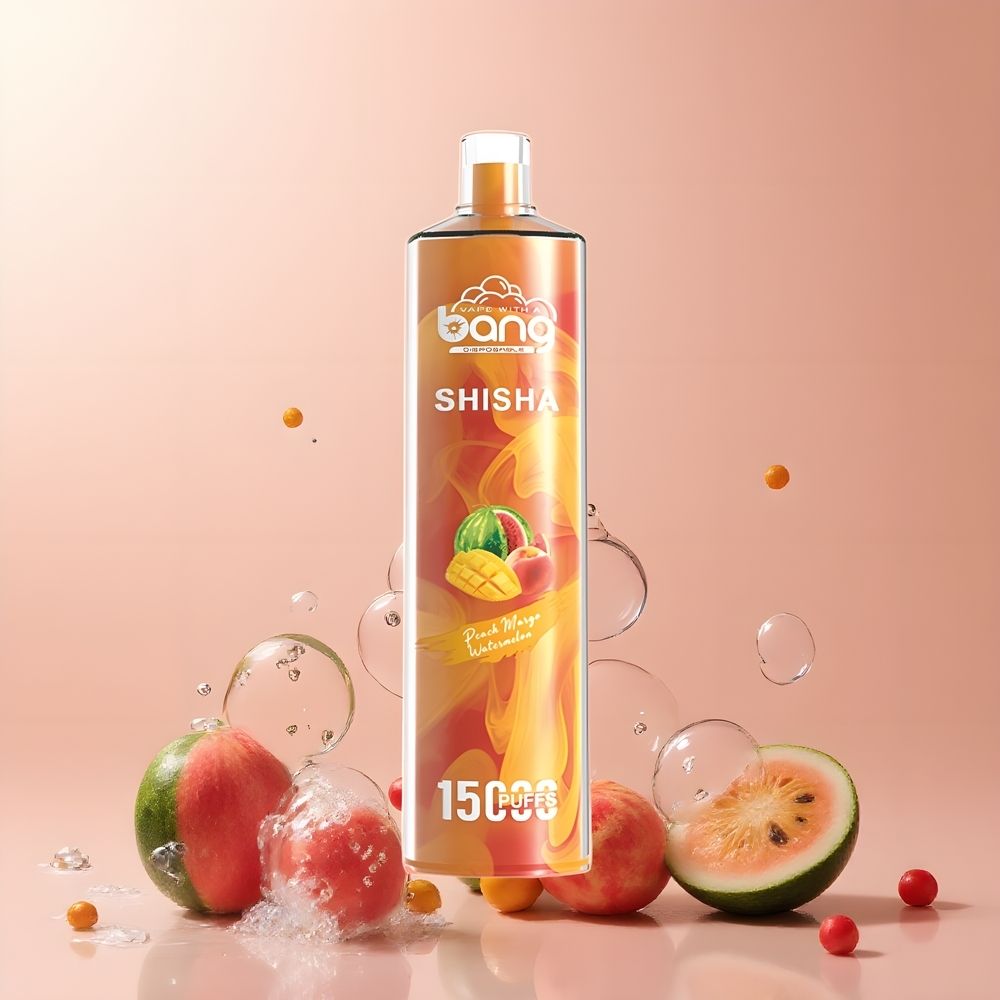 Partihandel Sverige Bang Shisha 15000 Puffs Typ-C Laddning Persika Mango Vattenmelon