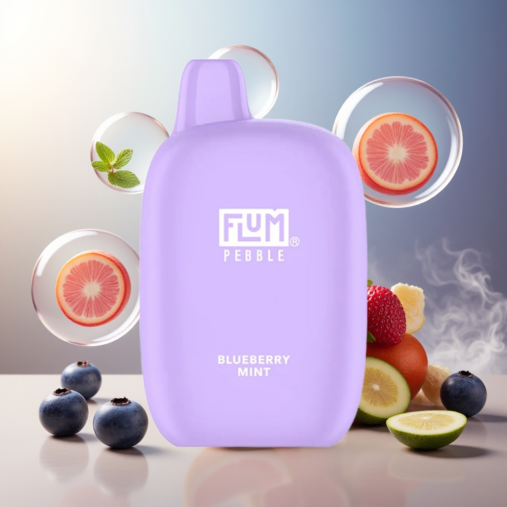 Partihandel Sverige FLUM Pebble 6000 Blåbär Mynta 10ml 5% 500mAh Mesh Type-C
