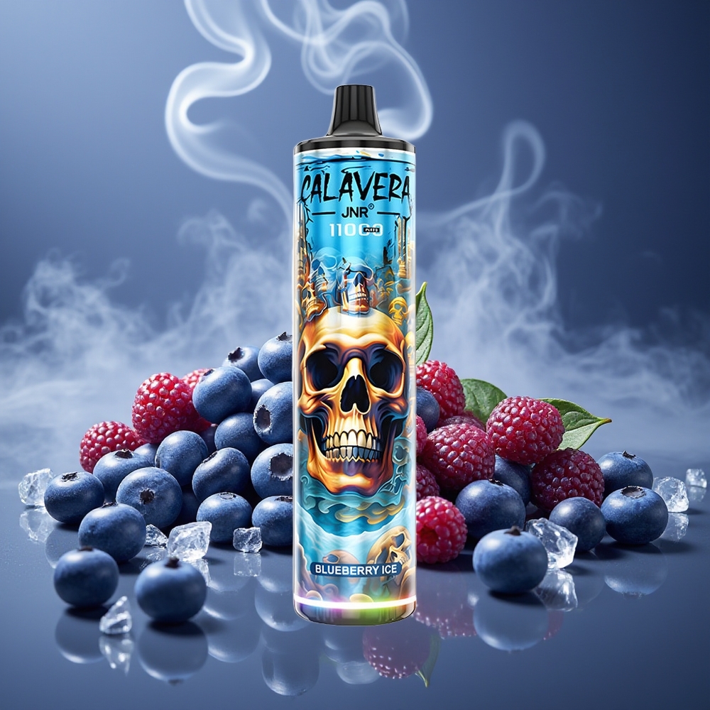 Partihandel Sverige JNR Calavera 11000 Puffs 850mAh 21ml Engångs Vape Blåbär Is