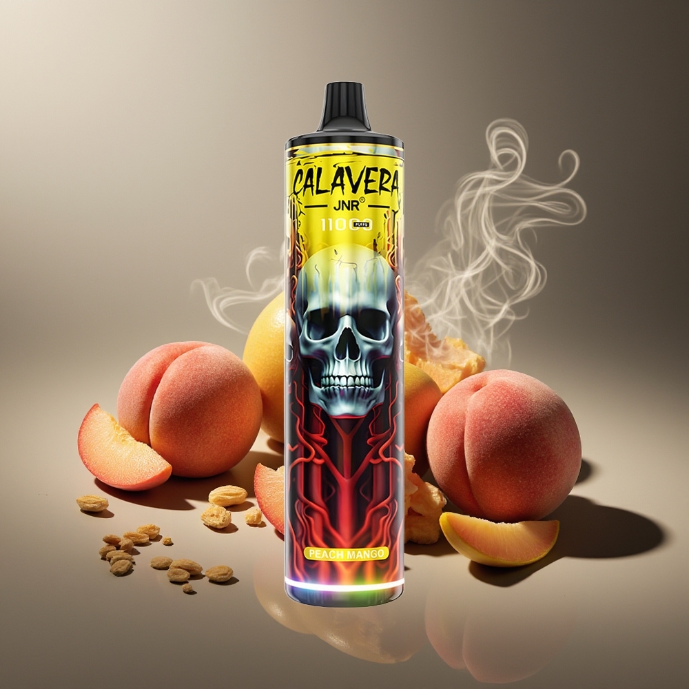 Partihandel Sverige JNR Calavera 11000 Puffs 850mAh Typ-C Persika Mango