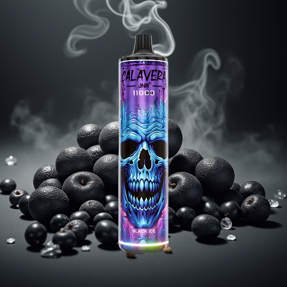 Partihandel Sverige JNR Calavera 11000 Puffs Engångsvape Svart Is Mesh Coil 1.0ohm 21ml
