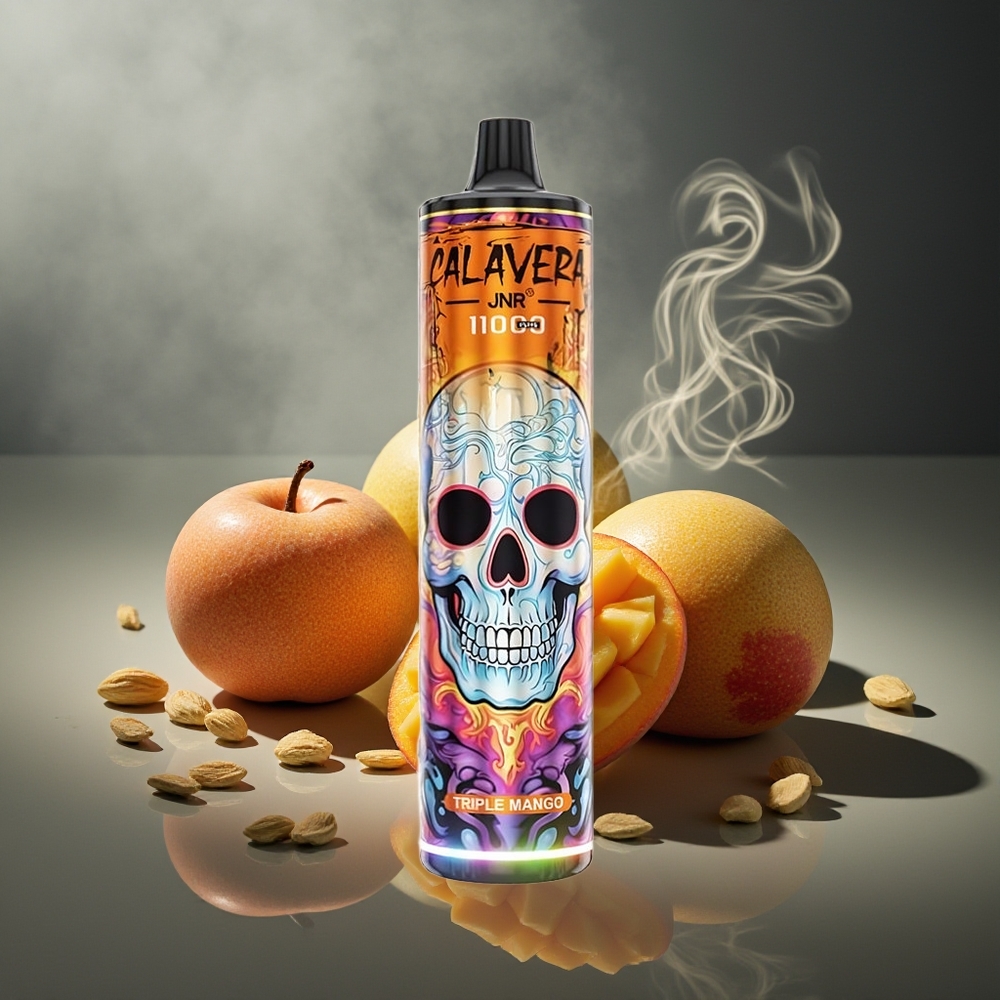Partihandel Sverige JNR Calavera 11000 Puffs Typ-C 850mAh 21ml 1.0ohm Trippel Mango