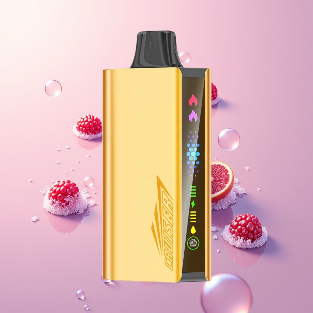 Partihandel Sverige JNR Cruiser 12000 Puffs Inbyggd Batteri Engångs Vape Björnbärs Is