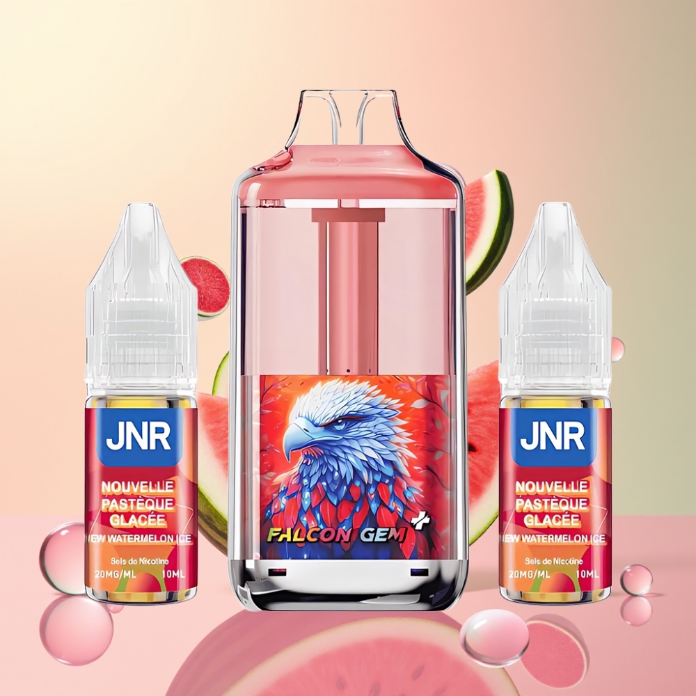 Partihandel Sverige JNR Falcon GEM⁺ 30000 Puffs Dual Mesh Refillable Pod Vape Ny Vattenmelon Is