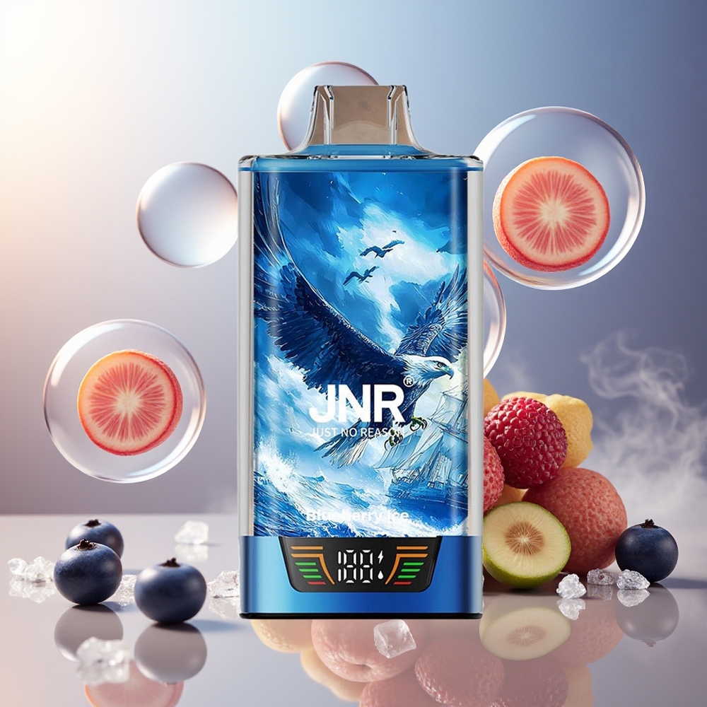 Partihandel Sverige JNR Falcon Pro 28000 30ml Blåbär Is MTL Dual Mesh