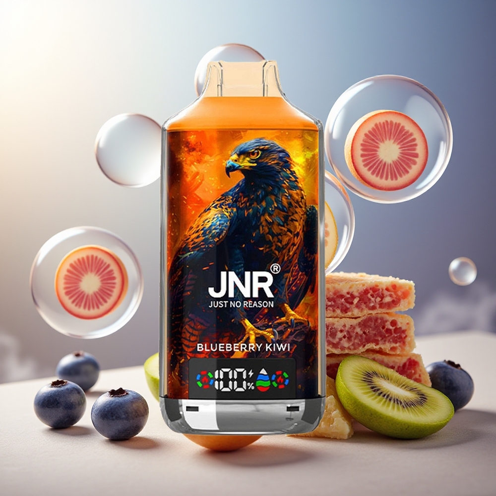 Partihandel Sverige JNR Falcon X 18000 Puffs Blåbär Kiwi 750mAh 24ml Dubbel Mesh Coil Typ-C