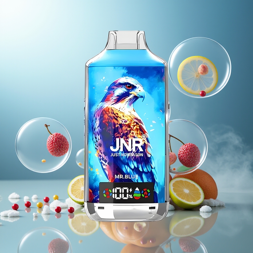 Partihandel Sverige JNR Falcon X 18000 Puffs Dubbel Mesh Coil Typ-C Snabbuppladdning 24ml Herr Blå