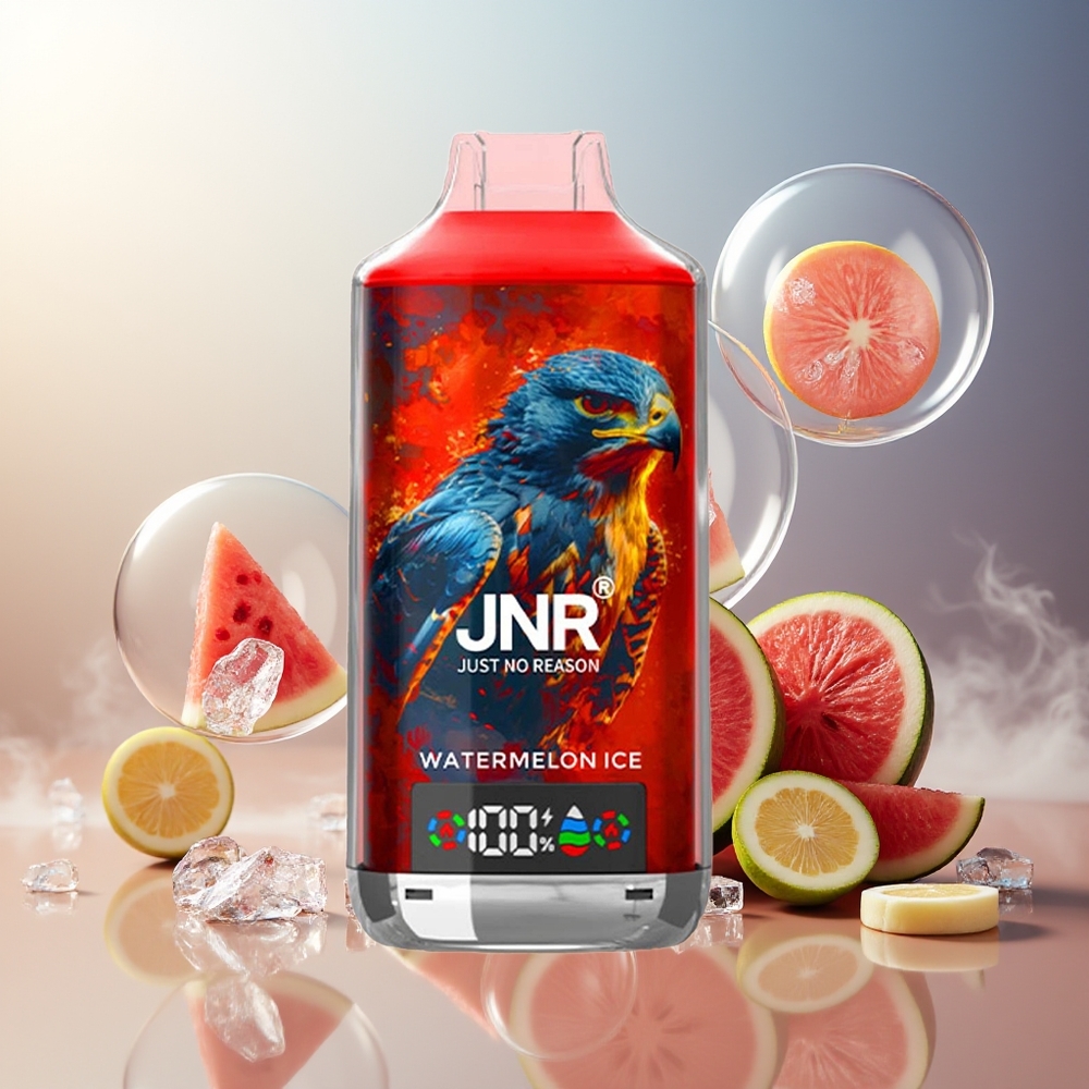 Partihandel Sverige JNR Falcon X 18000 Puffs Fågel 18000 Puffs Digital Typ-C Vattenmelon Is 24ml Dual Mesh
