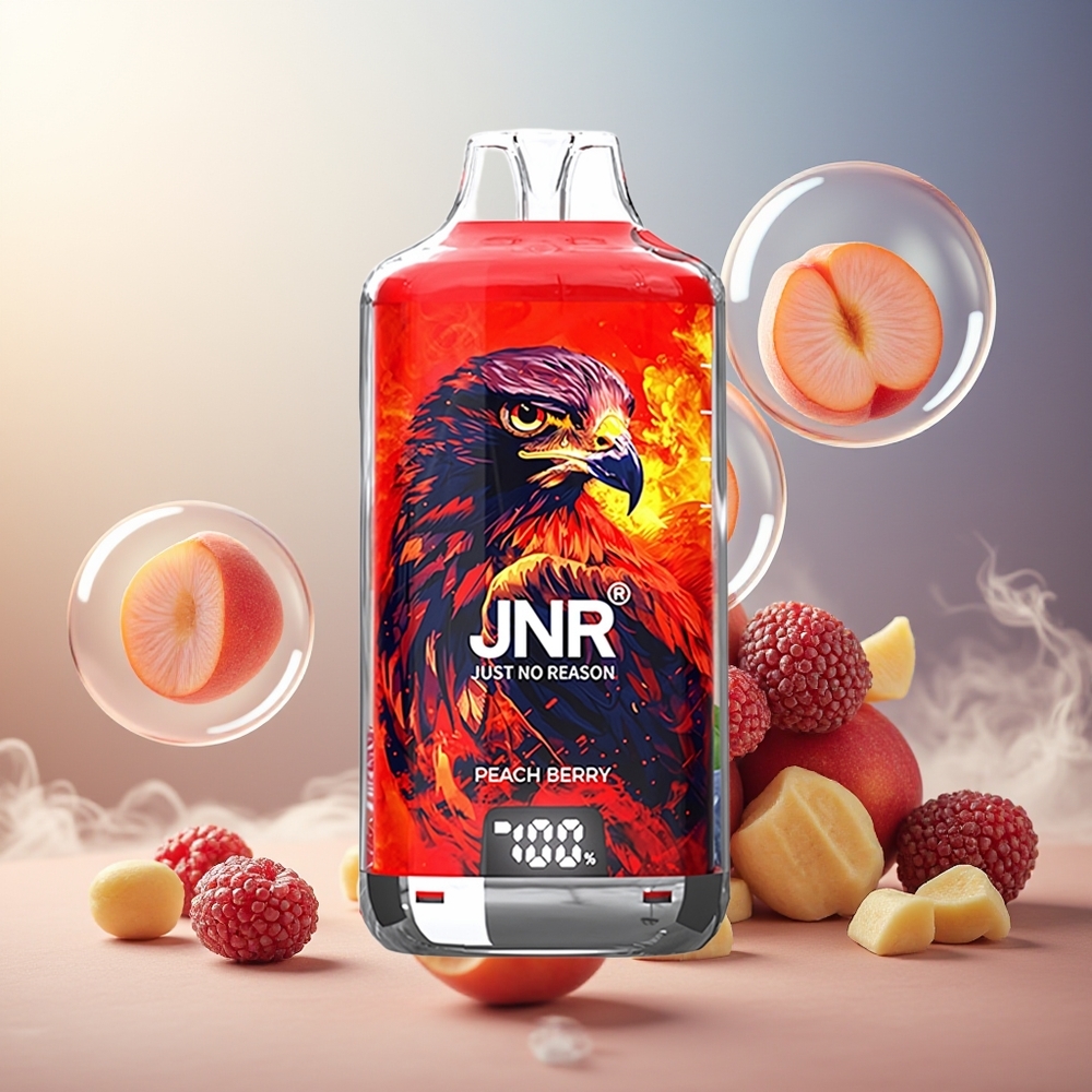 Partihandel Sverige JNR Falkon X⁺ 28000 950mAh 2ml Persika Bär Dubbla Munstycken Justerbar Luftflöde