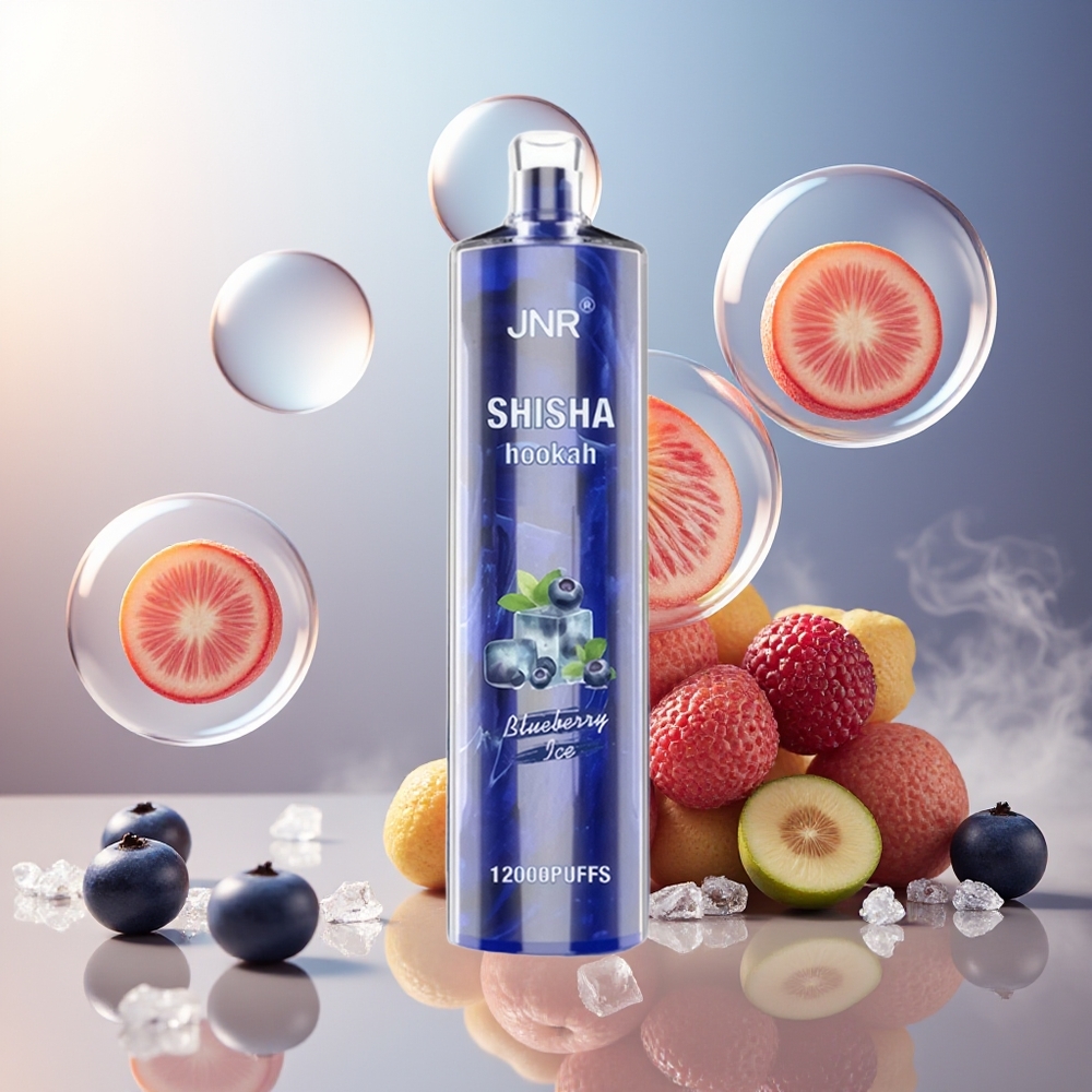 Partihandel Sverige JNR Shisha Hookah 12000 Puffs 24ml 750mAh Blåbär Is