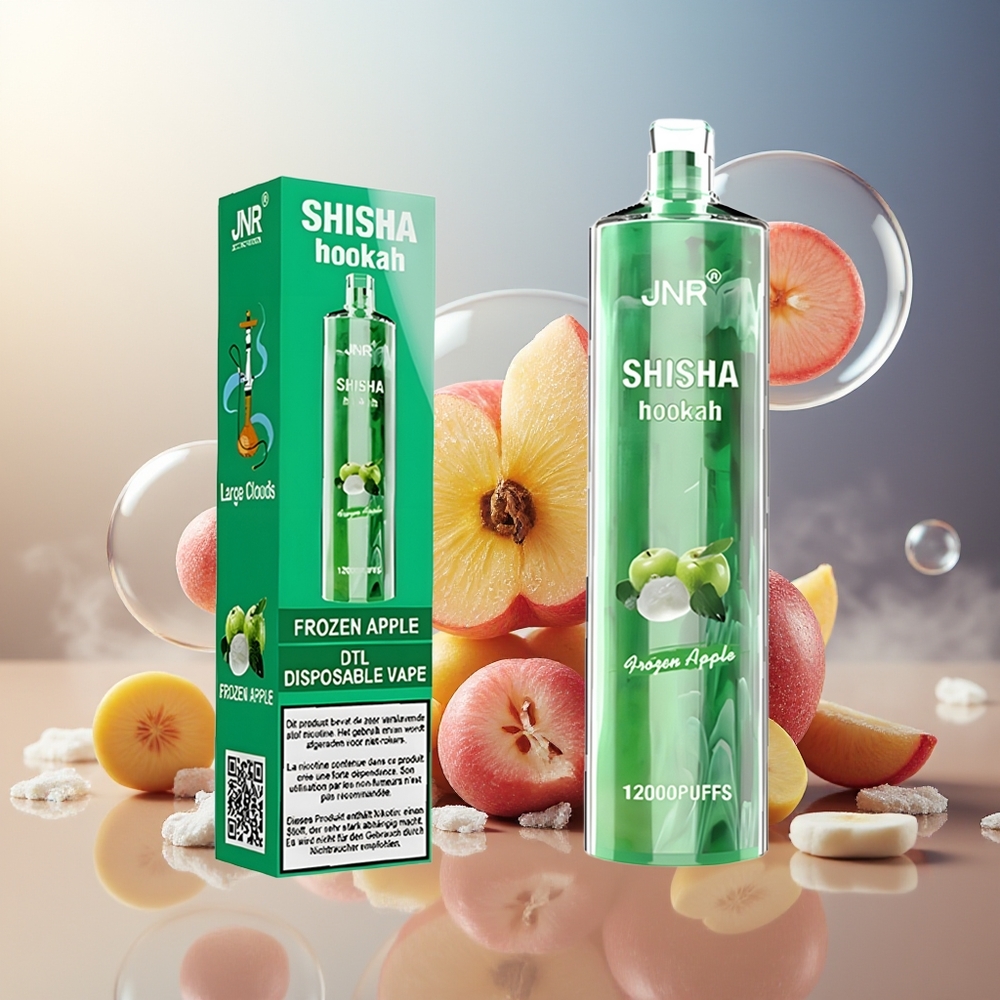 Partihandel Sverige JNR Shisha Hookah 12000 Puffs 24ml 750mAh Fryst Äpple