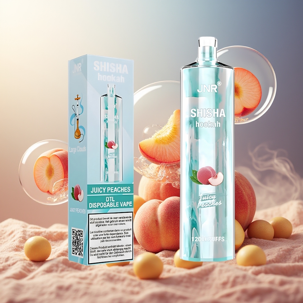 Partihandel Sverige JNR Shisha Hookah 12000 Puffs 24ml Saftiga Persikor Type-C