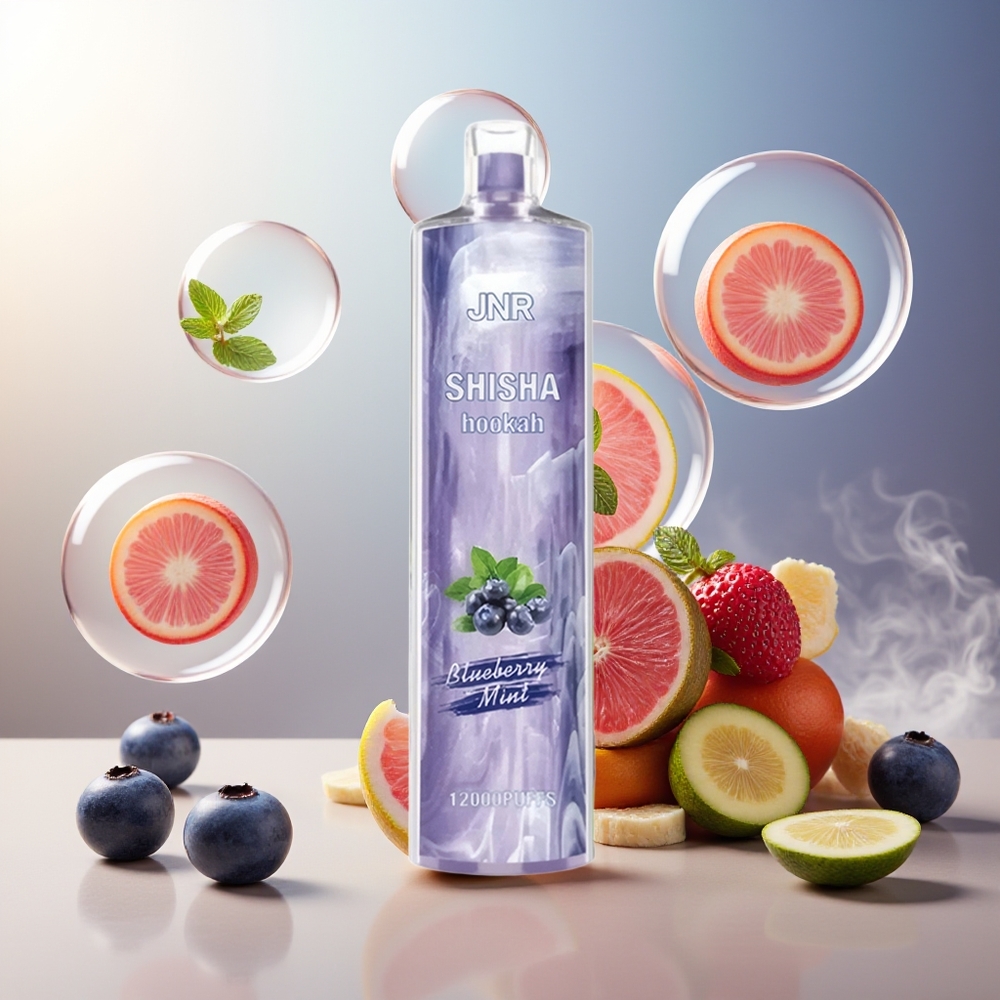 Partihandel Sverige JNR Shisha Hookah 12000 Puffs 750mAh 24ml Blåbär Mynta