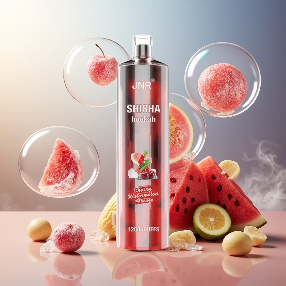 Partihandel Sverige JNR Shisha Hookah 12000 Puffs 750mAh Typ-C Körsbär Vattenmelon Frysa