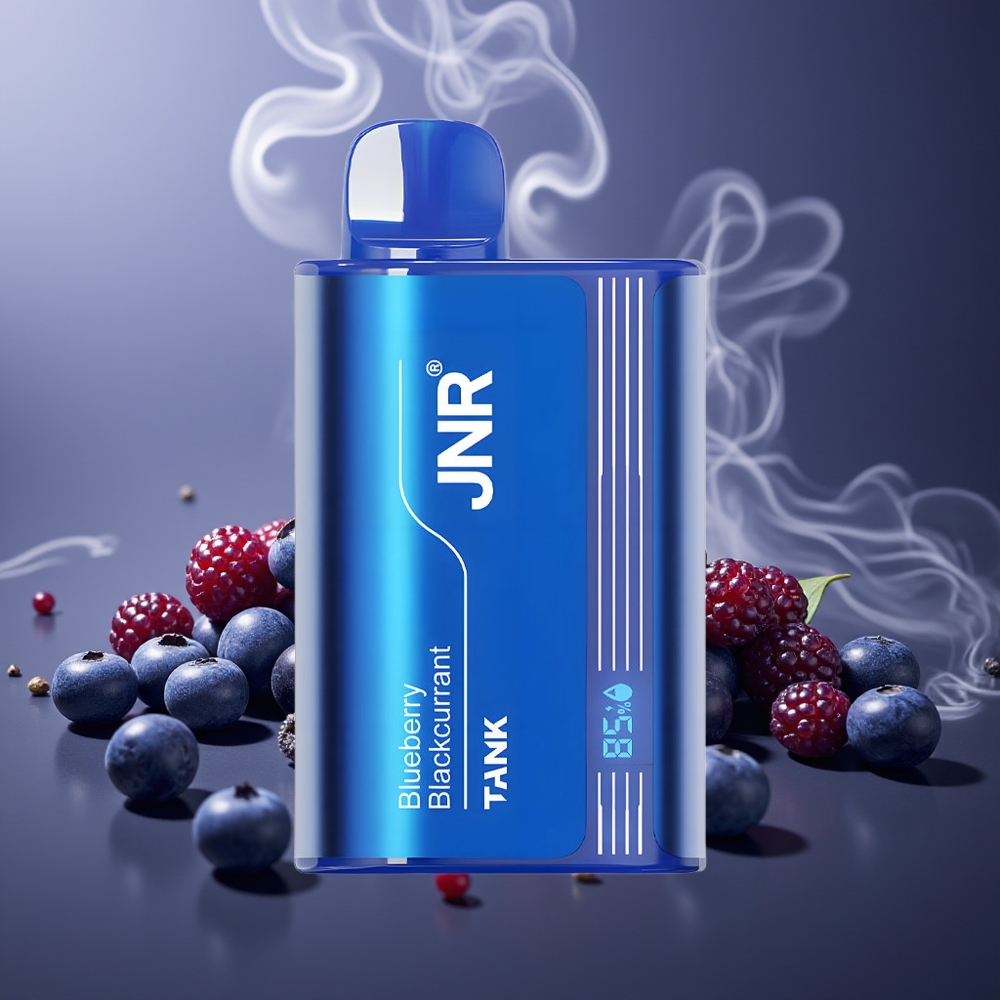 Partihandel Sverige JNR Tank 10000 Puffs Blåbär Svartvinbär Typ-C Laddning Digital Display