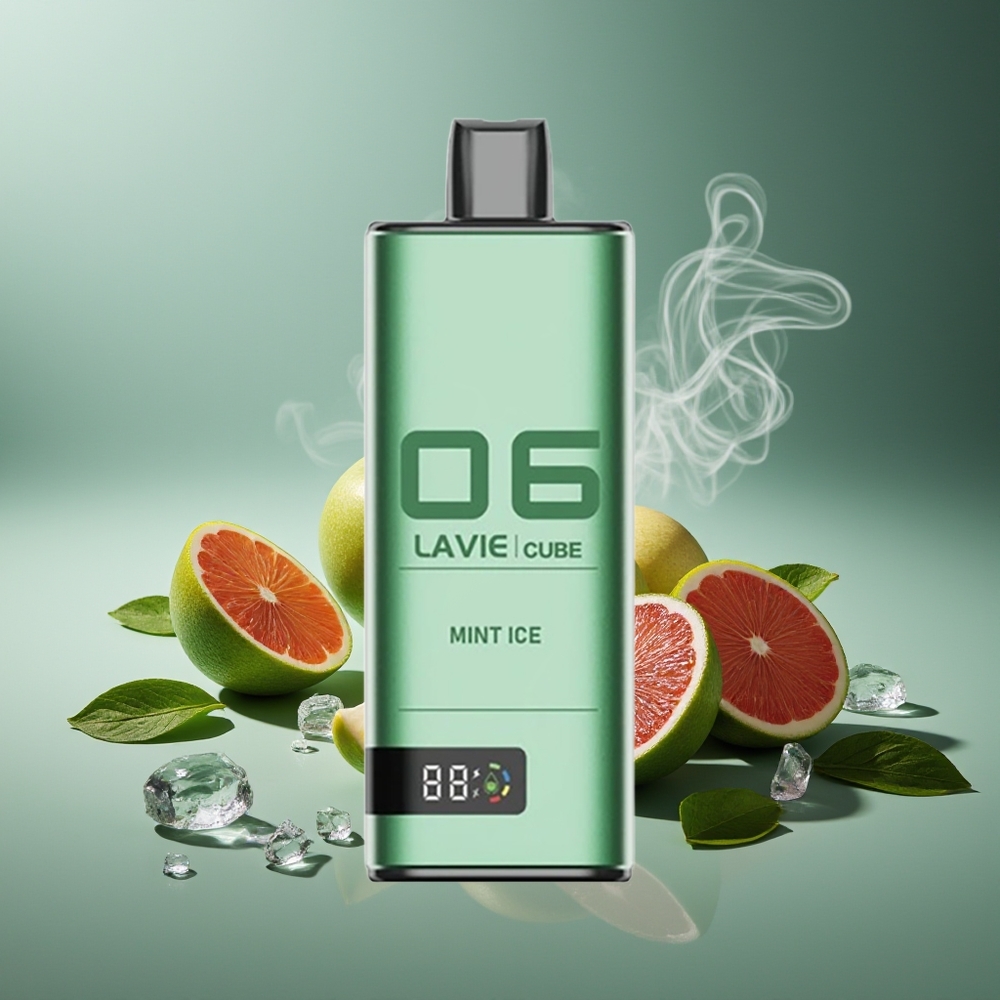 Partihandel Sverige Lavie Cube 20000 Puffs 28ML Type C Mint Is