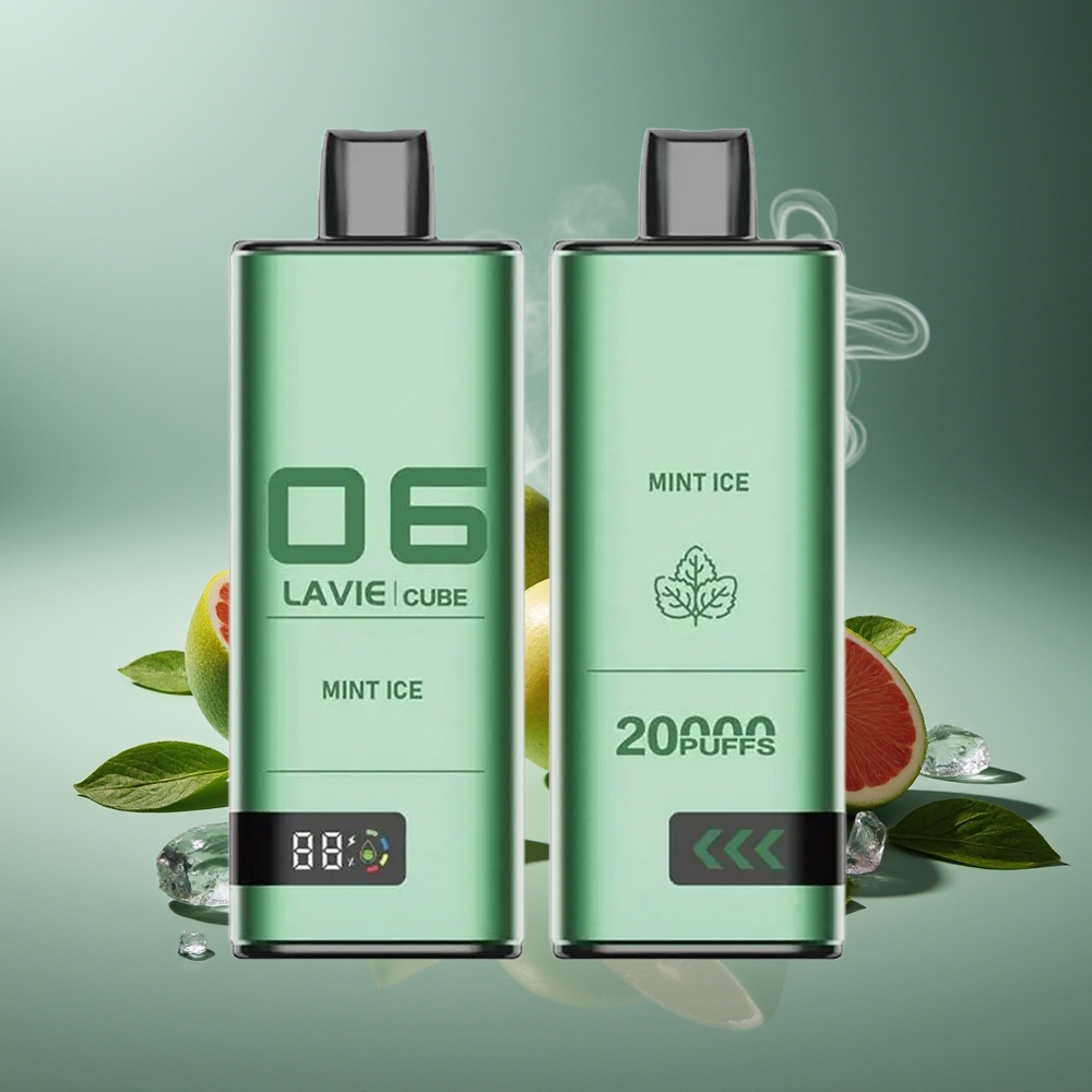 Partihandel Sverige Lavie Cube 20000 Puffs 28ML Type C Mint Is