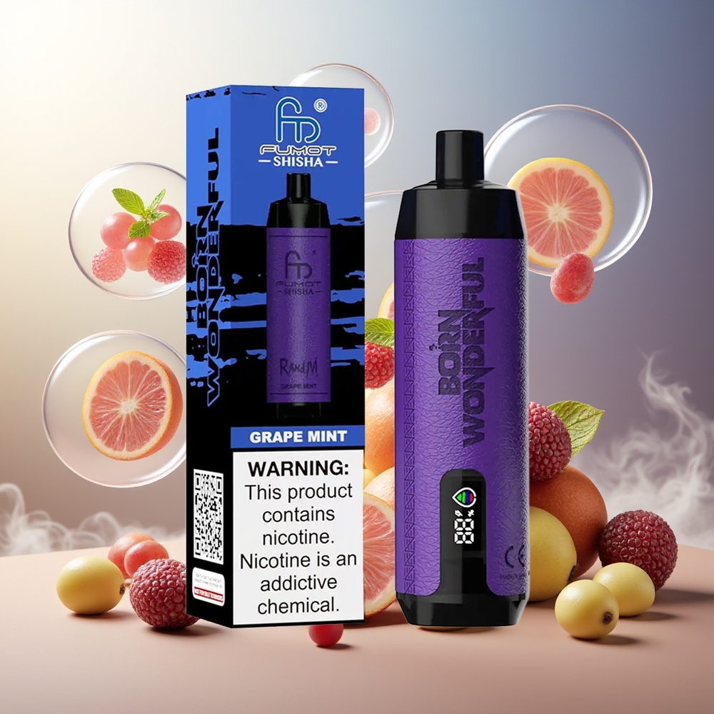 Partihandel Sverige RandM Fumot Shisha 10000 Puffs 18ml 0.6ohm Typ-C Druva Mynta