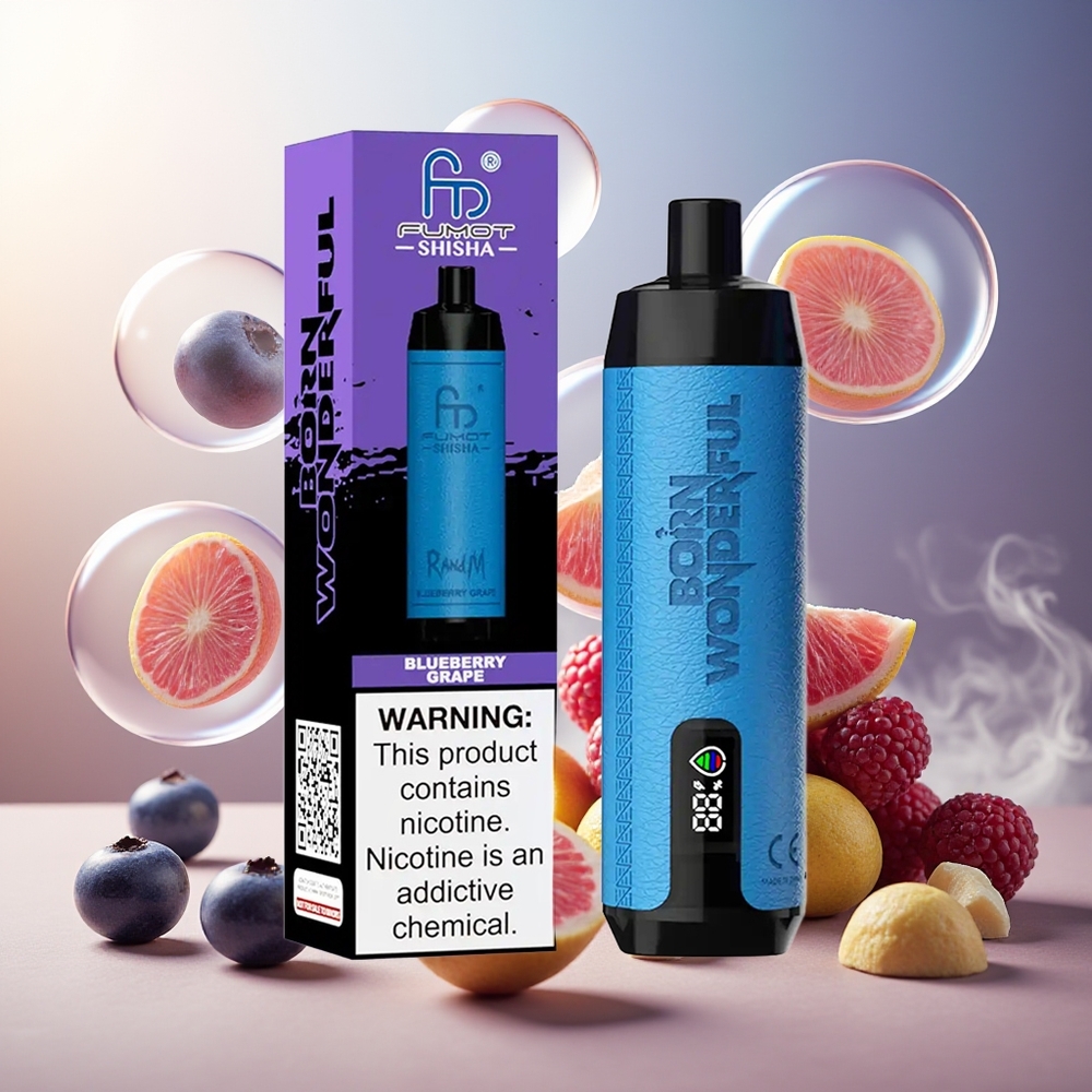 Partihandel Sverige RandM Fumot Shisha 10000 Puffs Blåbär Druva LED Mesh Typ-C 0.5%