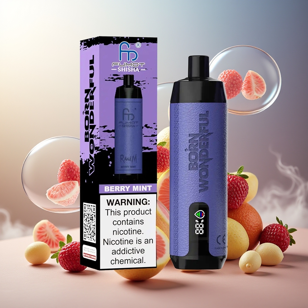 Partihandel Sverige RandM Fumot Shisha 10000 Puffs Disposable Bär Mint 18ml LED Typ-C 850mAh