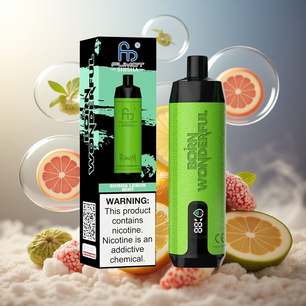 Partihandel Sverige RandM Fumot Shisha 10000 Puffs Engångs Vape Citron Mynta LED 18ml 850mAh Typ-C