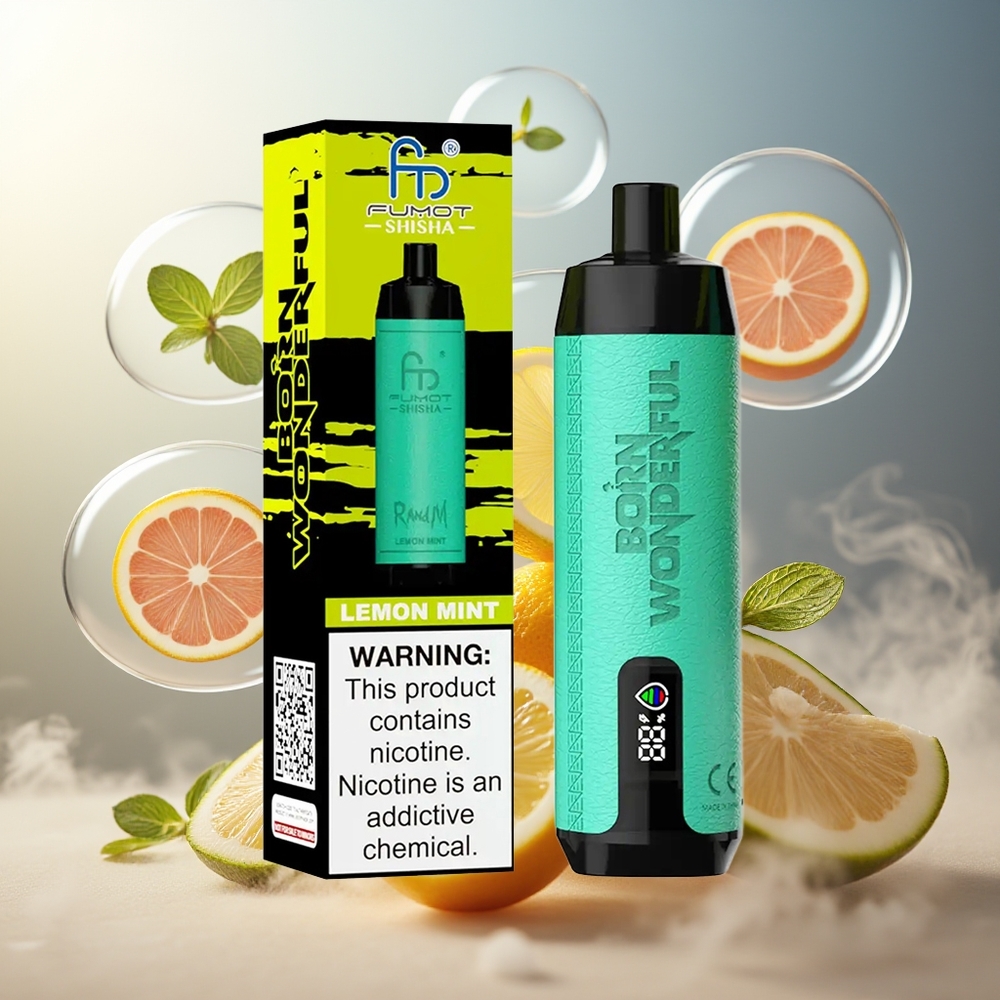 Partihandel Sverige RandM Fumot Shisha 10000 Puffs Engångs Vape Citron Mynta LED Typ-C 18ml