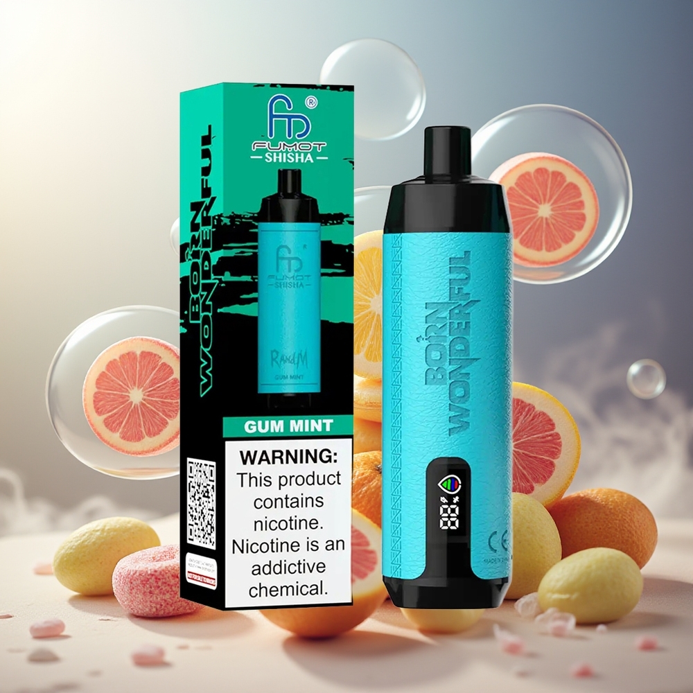 Partihandel Sverige RandM Fumot Shisha 10000 Puffs Engångs Vape Tuggummi Mint 18ml 850mAh Type-C