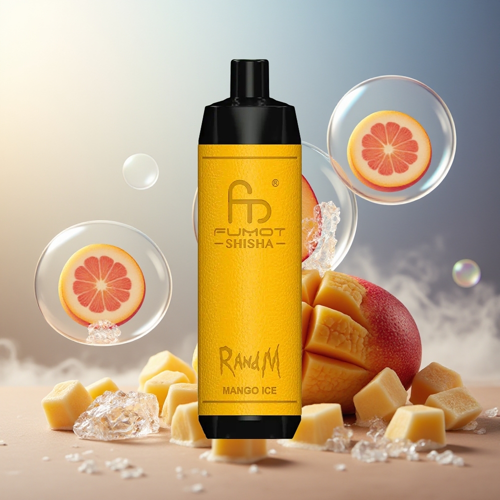 Partihandel Sverige RandM Fumot Shisha 10000 Puffs Engångsvape Mango Is LED Typ-C 850mAh 18ml