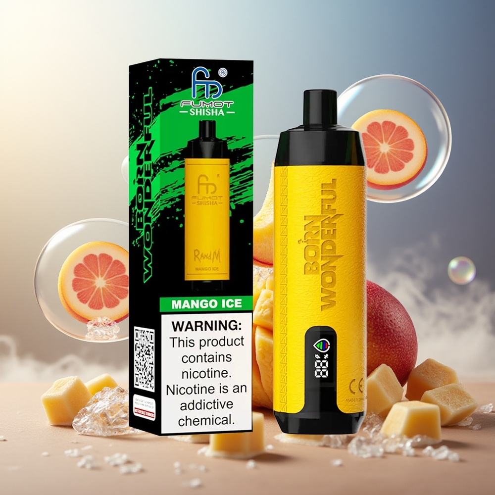 Partihandel Sverige RandM Fumot Shisha 10000 Puffs Engångsvape Mango Is LED Typ-C 850mAh 18ml